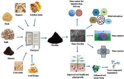 Frontiers | Nano-biochar: Recent Progress, Challenges, And ...